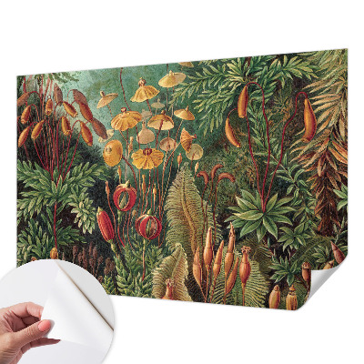 Fototapet för barn Exotisk trädgård