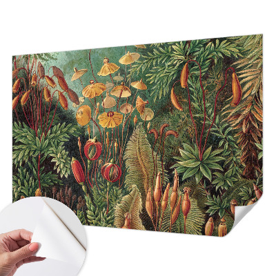 Fototapet för barn Exotisk trädgård