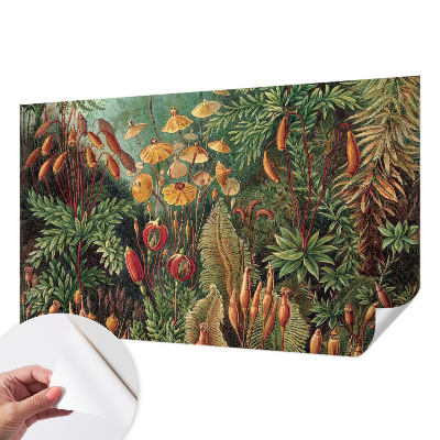 Fototapet för barn Exotisk trädgård