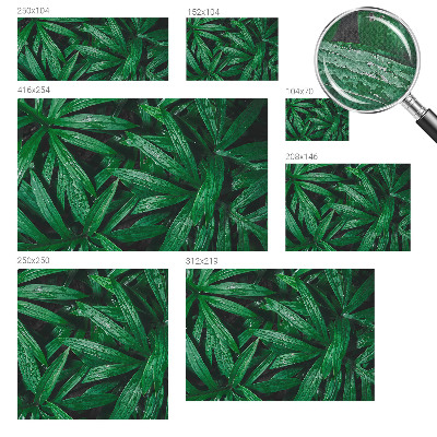 Självhäftande fototapet Naturlig grönska