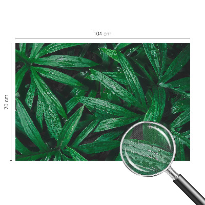 Självhäftande fototapet Naturlig grönska