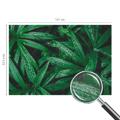 Självhäftande fototapet Naturlig grönska