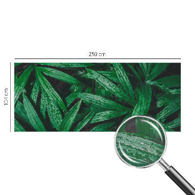 Självhäftande fototapet Naturlig grönska