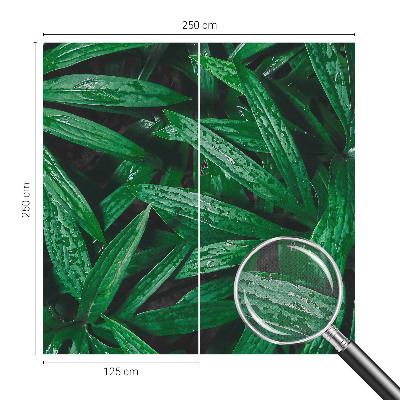 Självhäftande fototapet Naturlig grönska