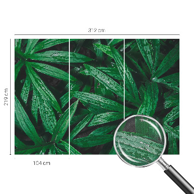 Självhäftande fototapet med motiv av naturlig grönska