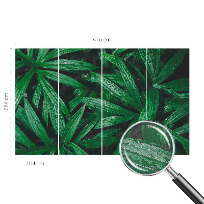 Självhäftande fototapet Naturlig grönska