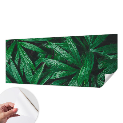 Självhäftande fototapet med motiv av naturlig grönska