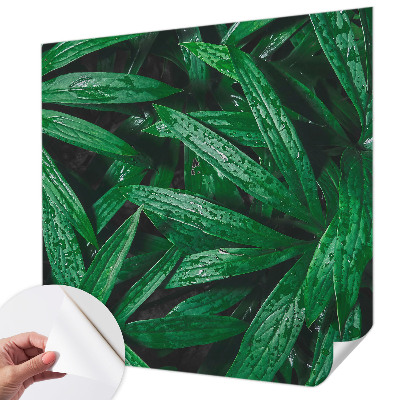 Självhäftande fototapet med motiv av naturlig grönska