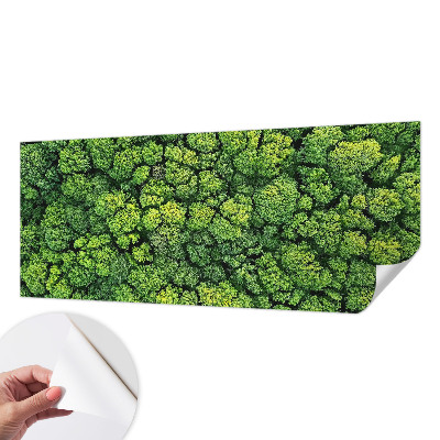 Självhäftande fotovägg med ett panorama av en skog