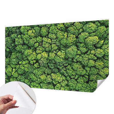 Självhäftande fotovägg med ett panorama av en skog