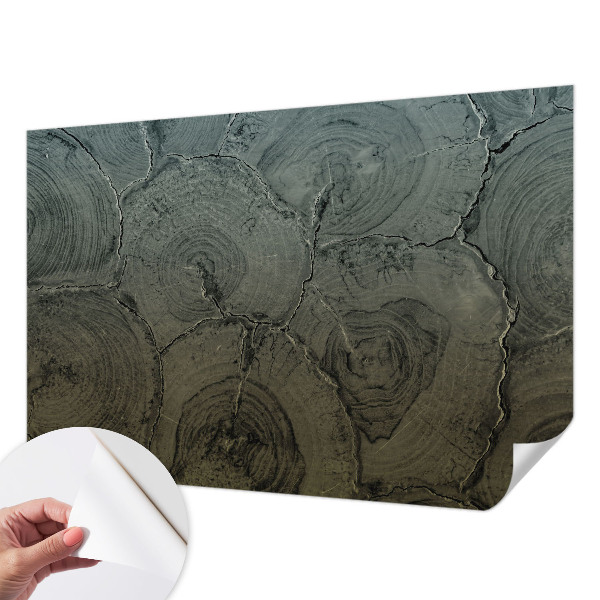 Självhäftande fotovägg Träringar