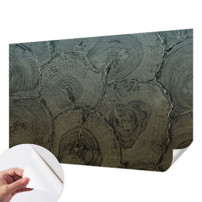 Självhäftande fotovägg Träringar