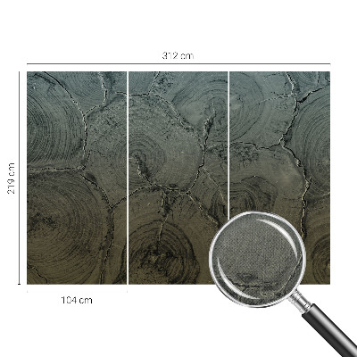 Självhäftande fotovägg Träringar