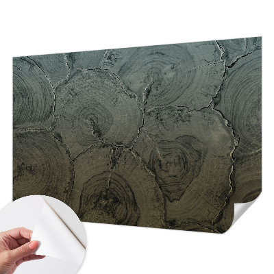 Självhäftande fotovägg Träringar