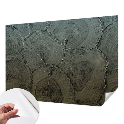 Självhäftande fotovägg Träringar