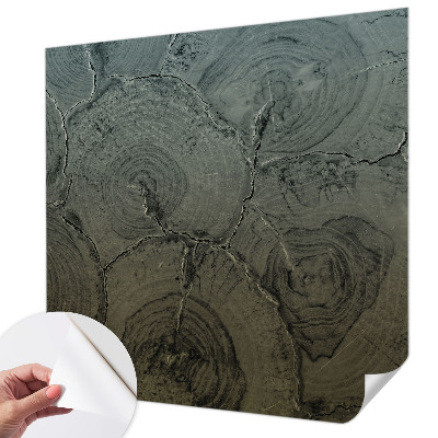 Självhäftande fotovägg Träringar