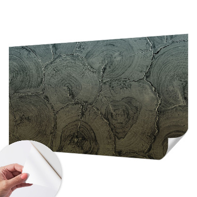 Självhäftande fotovägg Träringar