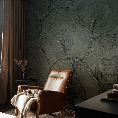 Självhäftande fotovägg Träringar