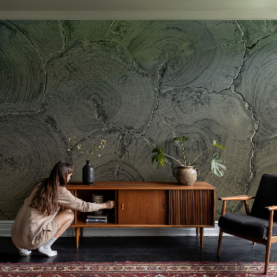 Självhäftande fotovägg Träringar