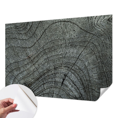 Självhäftande fototapet Kornmönster