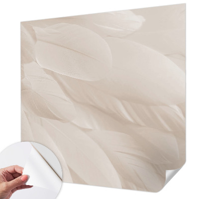 Peel and stick fototapet Eteriska fjädrar