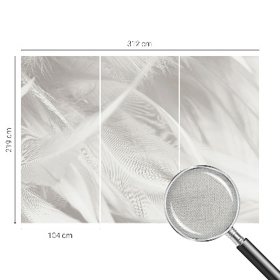 3D fototapet Subtila fjädrar