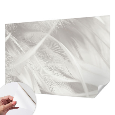 3D fototapet Subtila fjädrar