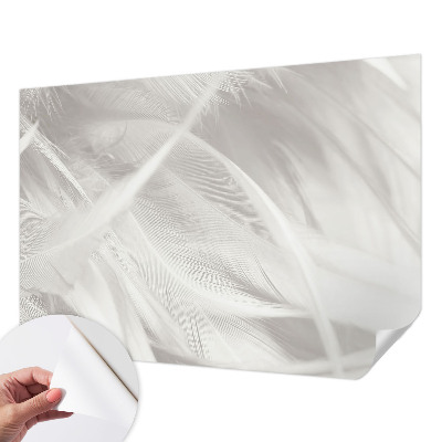 3D fototapet Subtila fjädrar