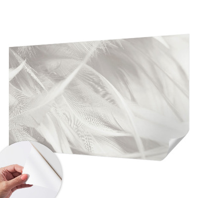 3D fototapet med ett mönster av subtila fjädrar