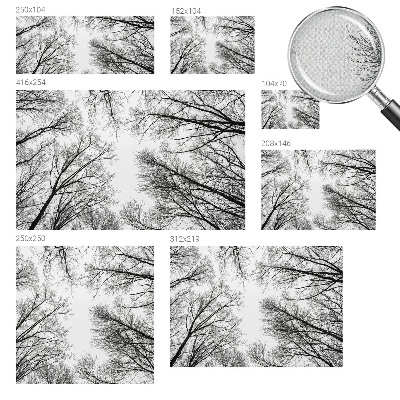 Peel and stick fototapet med motiv av enstaka grenar