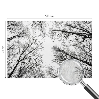 Peel and stick fototapet med motiv av enstaka grenar