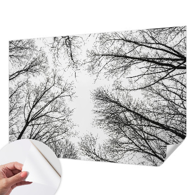 Peel and stick fototapet med motiv av enstaka grenar