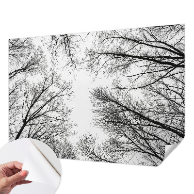 Peel and stick fototapet med motiv av enstaka grenar