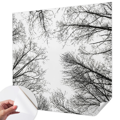 Peel and stick fototapet med motiv av enstaka grenar