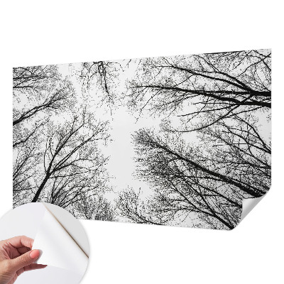 Peel and stick fototapet med motiv av enstaka grenar