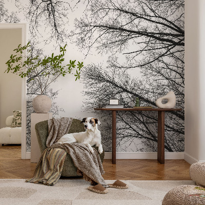 Peel and stick fototapet med motiv av enstaka grenar