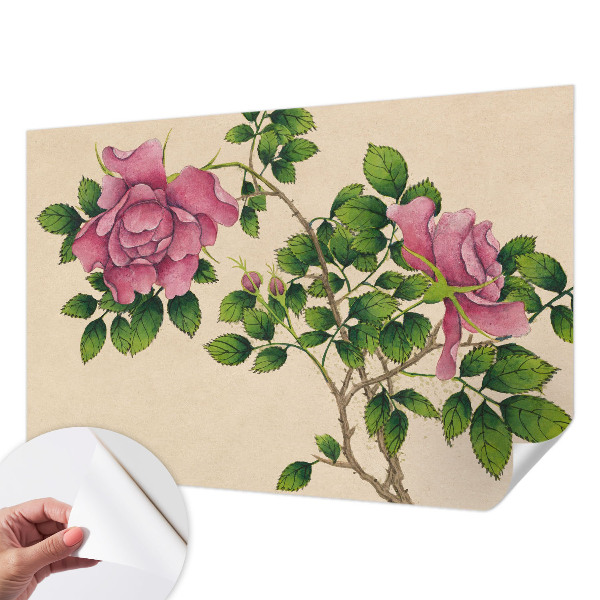 Självhäftande fototapet Romantiska rosor