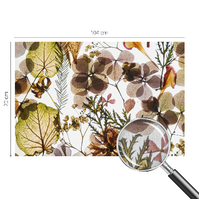 Fototapet barnrum Naturlig sammansättning