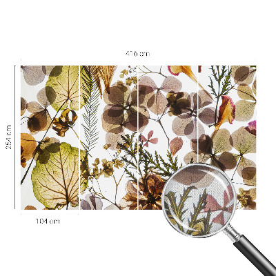 Fototapet barnrum Naturlig sammansättning