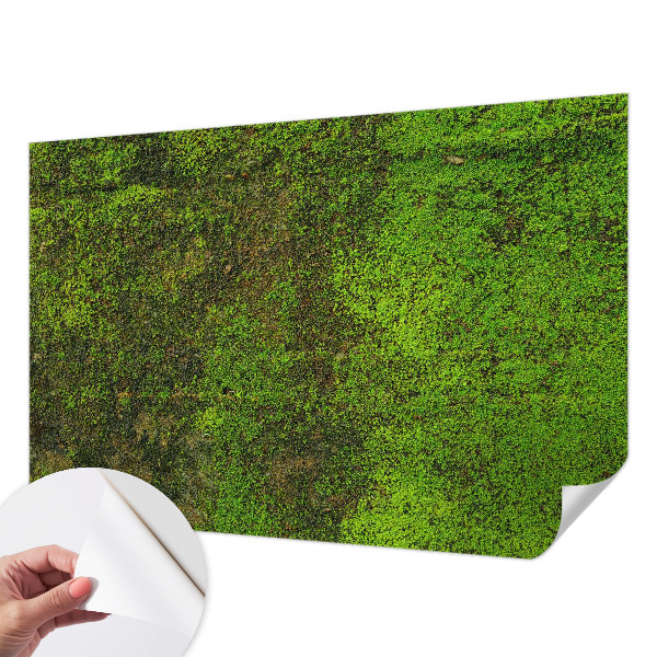 Självhäftande fototapet Grön matta