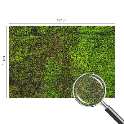 Självhäftande fototapet Grön matta