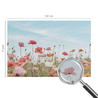 Fototapet för barn Vallmoblommor