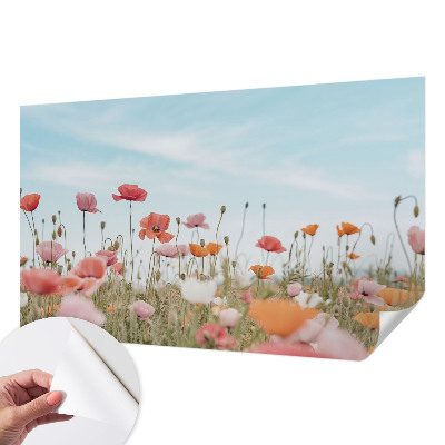 Fototapet för barn Vallmoblommor