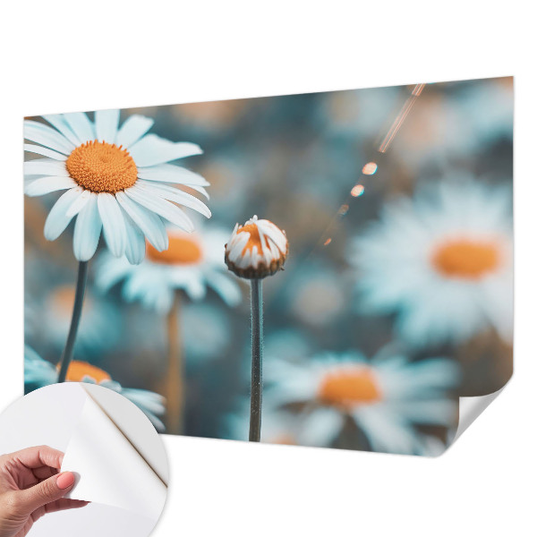 Fototapet för barn Kamomilldelikatess