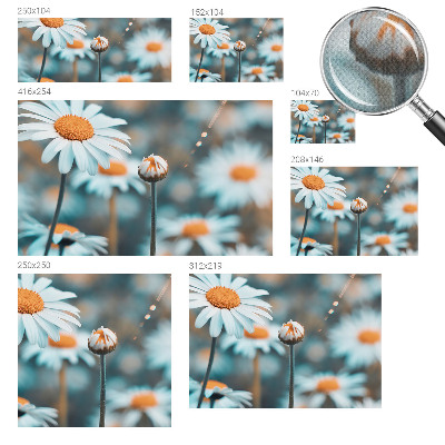 Fototapet för barn Kamomilldelikatess