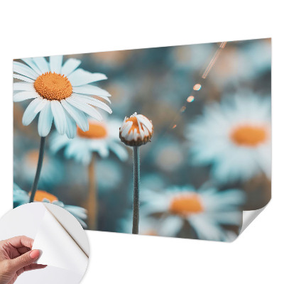 Fototapet för barn Kamomilldelikatess