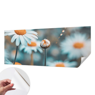 Fototapet för barn Kamomilldelikatess