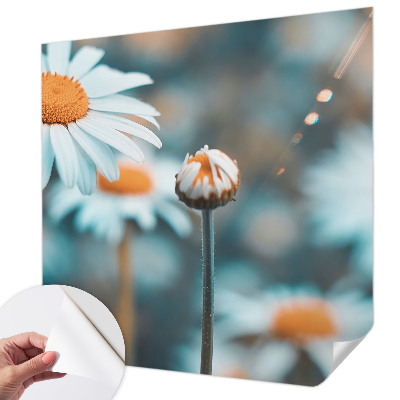 Fototapet för barn Kamomilldelikatess