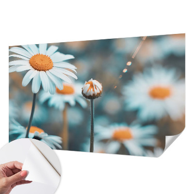 Fototapet för barn Kamomilldelikatess