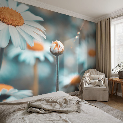 Fototapet för barn Kamomilldelikatess